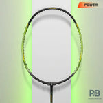 Ashaway TMP 9000 Badminton Racket.