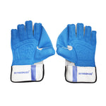 ss dragon wicketkeeping gloves sheep lether

