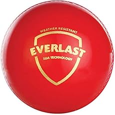 sg everlast red cricket ball leather

