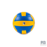 COSCO Super Volleyball – Size 4 | Genuine Leather | Pasted 18-Panel | Reinforced Fabric Core | Made in India | Professional Tournament Ball.