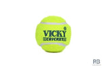 Vicky Rubber Cricket Tennis Ball – Pack of 6 & 5 Dozen (60 Balls) | High Bounce Green Practice Balls for Cricket Matches & Training | Best Price in India.