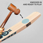 GM Neon Maestro Kashmir Willow Cricket Bat – Full Size, Lightweight, Advanced Grip, Men’s Leather Ball Bat.