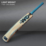 GM Neon Maestro Kashmir Willow Cricket Bat – Full Size, Lightweight, Advanced Grip, Men’s Leather Ball Bat.