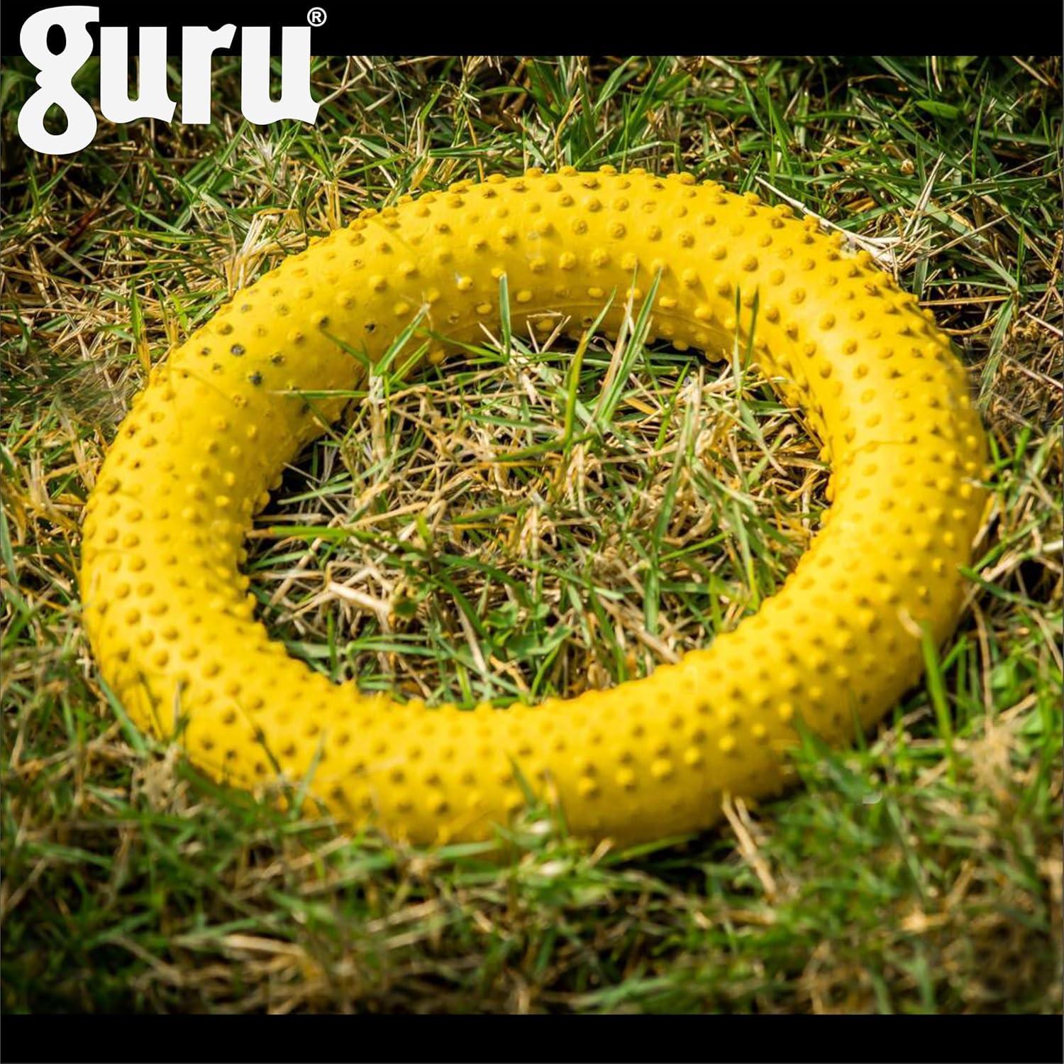 Guru Sponge Filled Dotted Rubber Tennikoit Ring – Lightweight Plastic Sport Ring | ProBadminton.in.