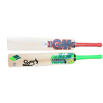 Cricket bat Ct 100.