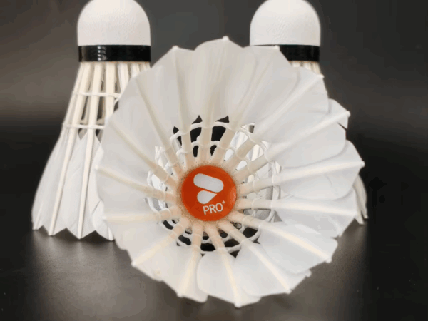 ACERS PRO+ Goose Feather Shuttlecock Pack of 12 made with 1st Grade Goose Straightened Feather.