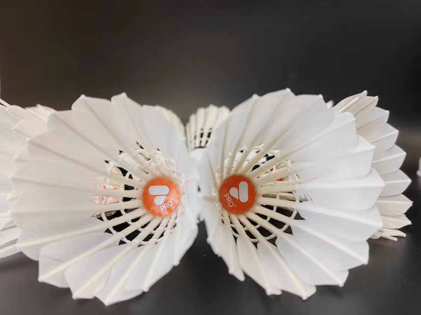 ACERS PRO+ Goose Feather Shuttlecock Pack of 12 made with 1st Grade Goose Straightened Feather.