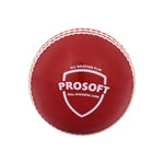 sg prosoft cricket ball red junior

