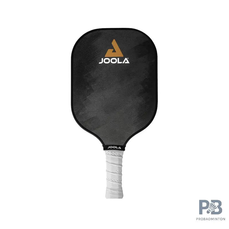 Joola Essentials Pickleball Paddle.