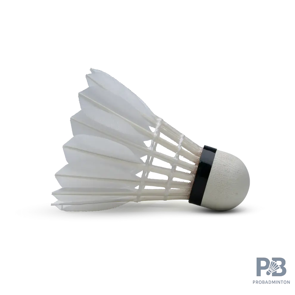 Hundred F5 |  Probadminton Shuttlecocks, Grade A Feathers.
