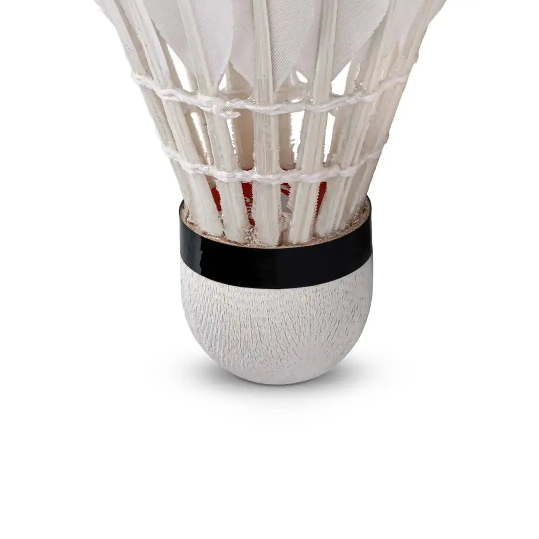 Lining G200 Professional Hybrid Feather Shuttlecocks | ProBadminton.in | Speed 76 and Speed 77.