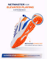net master cricket shoo blue
