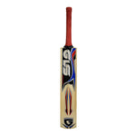 GreenLand Wega Himachal Willow Cricket Bat | Lightweight 800–900g | Full Size | Slim Blade | Tennis Ball Bat with Spring Handle – ProBadminton.in.