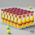 Wilson Championship Tennis Balls | 3-Ball Can, 12-Ball (4 Cans), 72-Ball Carton | All-Court Performance | ProBadminton.in.