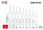 SS Power Play English Willow Cricket Bat – Short Handle (SH) | Professional Grade Cricket Bat.