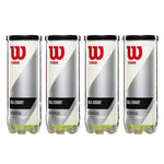 Wilson Titanium Tennis Ball No.4 | High-Altitude Core | Durable Dura-Last Felt | All Court Performance – ProBadminton.in.