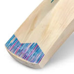 DSC BLU 11 Kashmir Willow Cricket Bat – Premium Handcrafted, Short Handle.