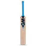 gm diamond striker kashmir wilow crecket bat

