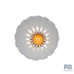 The Hundred F8 Badminton Feather Shuttlecocks | Speed 76 & 77 | Probadminton.in.