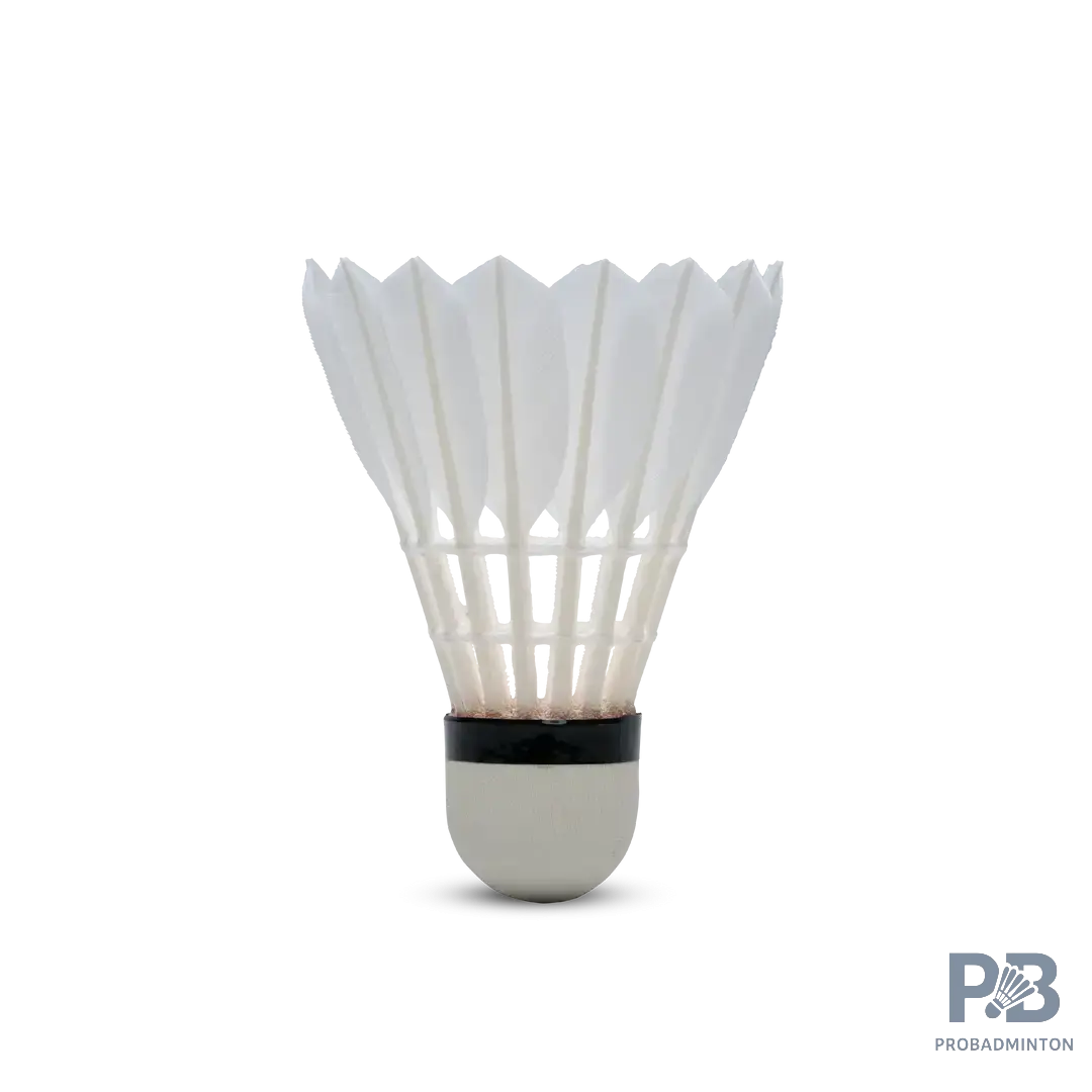 The Hundred F8 Badminton Feather Shuttlecocks | Speed 76 & 77 | Probadminton.in.