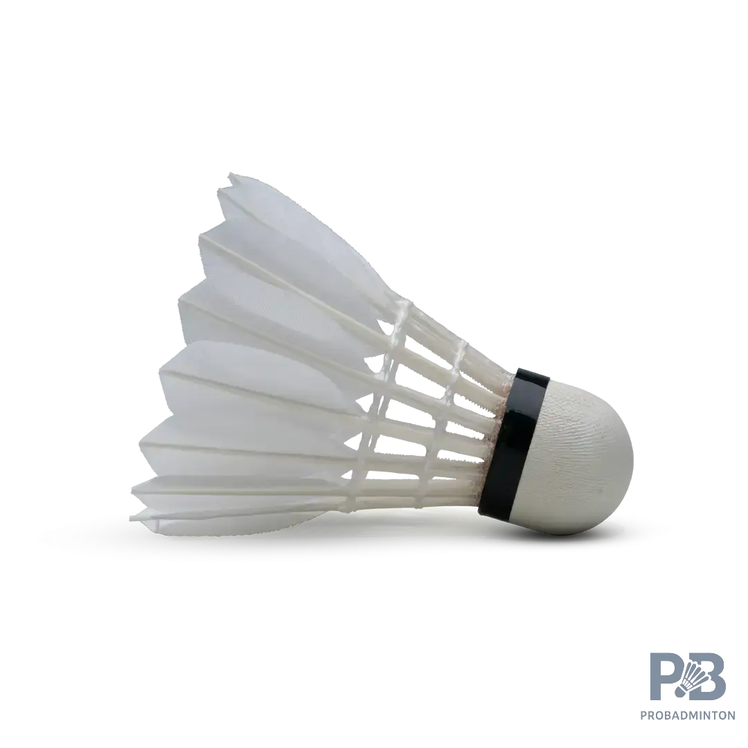 The Hundred F8 Badminton Feather Shuttlecocks | Speed 76 & 77 | Probadminton.in.